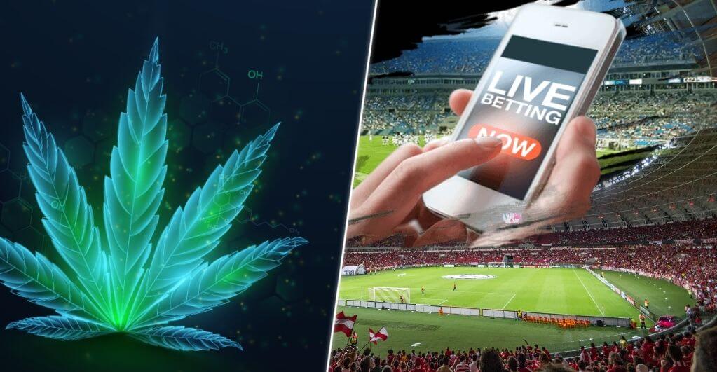 Tax Revenues From Cannabis Set to Take a Hit With Mobile Sports Betting Taking the Lead in New York State